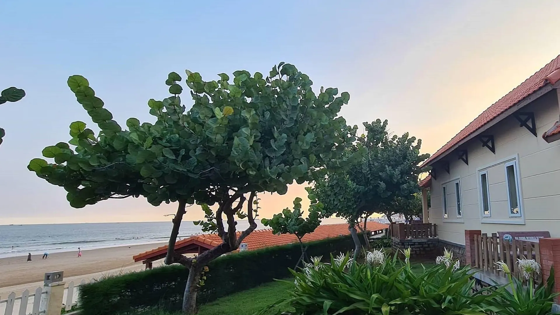 度假村 海阳茵图科度假村 头顿